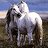 Horsie336