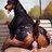 Bianimallover