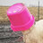 ovine_intervention