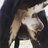 doglove89
