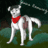 HorseFanatic2212