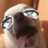 Kaybee9t