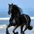 Horseguy007