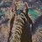 TheEquineMystique