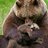 puppybearz