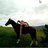 AHorseGhost