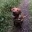 Rugby Lad With M Red Lab