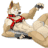 HugeBulge76