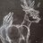 dumb_buck