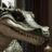 Gatorlover23