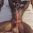 DogKing0320