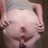 MissyZoo619
