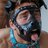 puppyh69