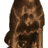 RedRyder