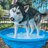 DoggyDog97