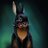 VikRabbit