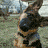 Dankoforgirl