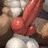 knottylover230