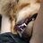 puppycr34m