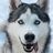 hussyhusky66