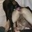 Doglovver94