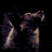 Fenrar_wolf