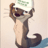 Zotter
