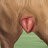 lovefemaledogs11