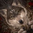 Wennwolf