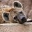 yeen-after
