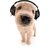 TBoy_Puppy