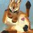 feralcoyote