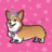 PrincessCorgi