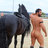 Thorse