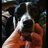 k9knottylover