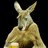 Kangaroo08