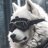 DeviantDad