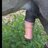 animallover60